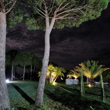 Agriturismo La Pergola Castiglione del Lago Exteriér fotografie